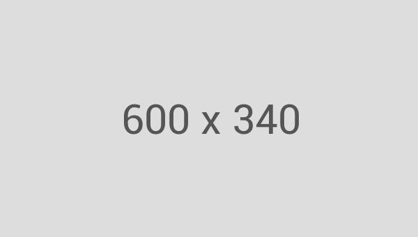 Portfolio Content